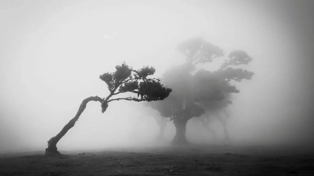 Weather Update: পৌষের বিদায়বেলায় দক্ষিণবঙ্গে শীতের দাপট, বঙ্গোপসাগরে গভীর নিম্নচাপের ভ্রুকুটি 1 Blue and Yellow Modern Podcast Youtube Thumbnail 20260109 111810 0000