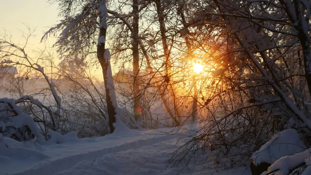 Weather Update: ফের নামতে পারে পারদ, পৌষ সংক্রান্তিতে হাড়কাঁপানো শীতের সম্ভাবনা বাংলায় 1 Blue and Yellow Modern Podcast Youtube Thumbnail 20260112 113500 0000