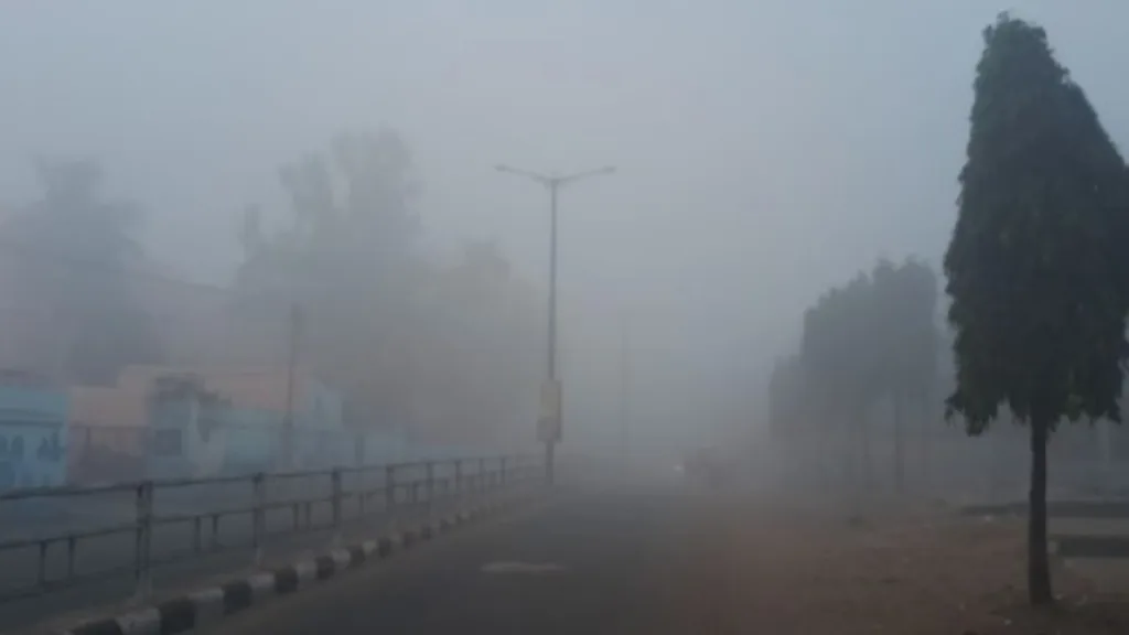 InShot 20260103 103842535