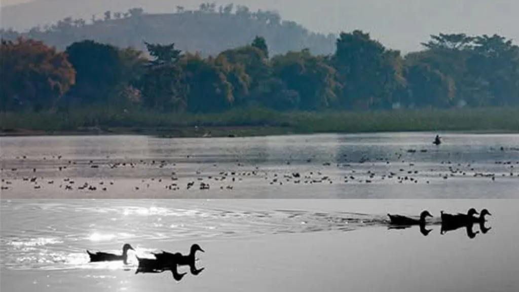 InShot 20260103 140345001