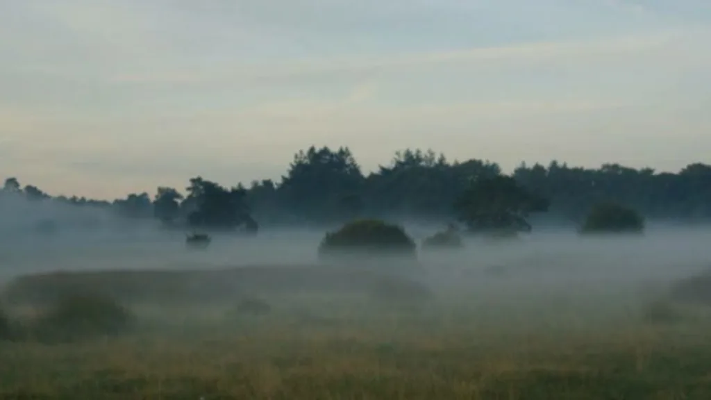 InShot 20260114 101759025