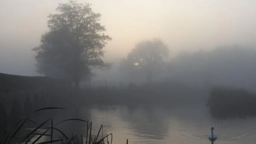 InShot 20260115 111722372