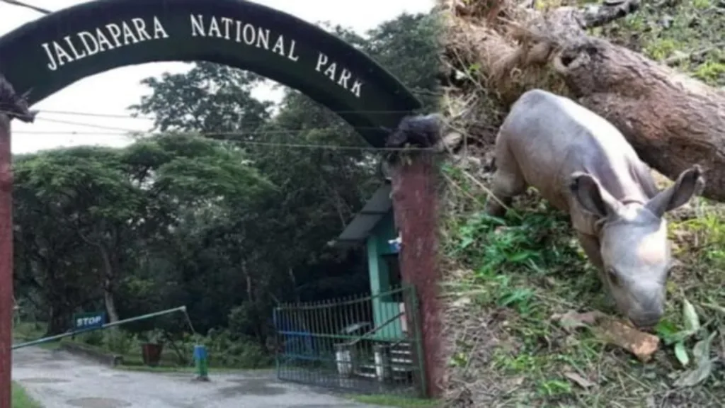 JALDAPARA NATIONAL PARK