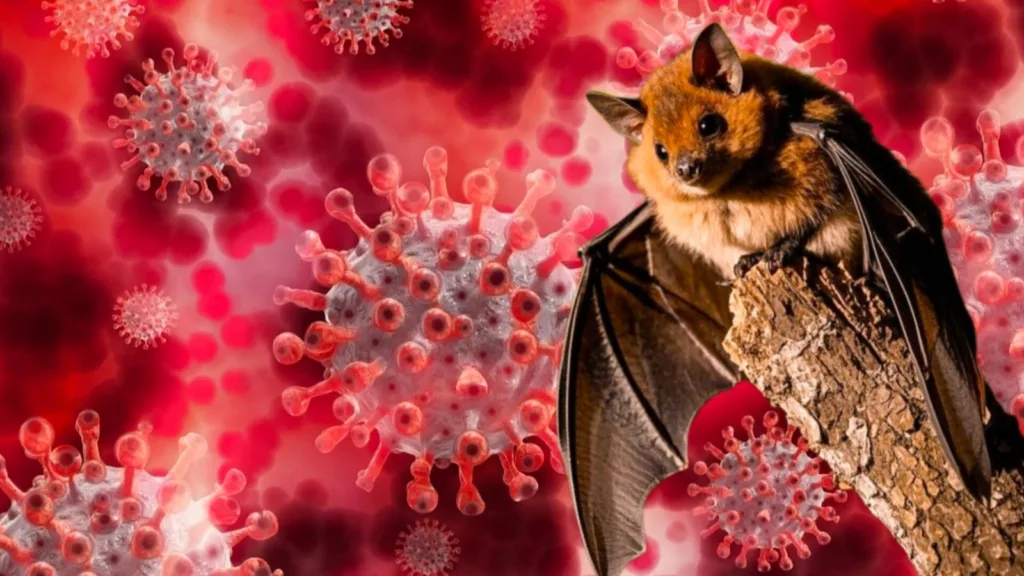 Nipah Virus: রাজ্যে নিপা ভাইরাস আতঙ্ক! কী এই নিপা ভাইরাস? করোনার মতো কি সংক্রমন ? কীভাবে বুঝবেন? কী বার্তা স্বাস্থ্য দফতরের? 1 nipah virus