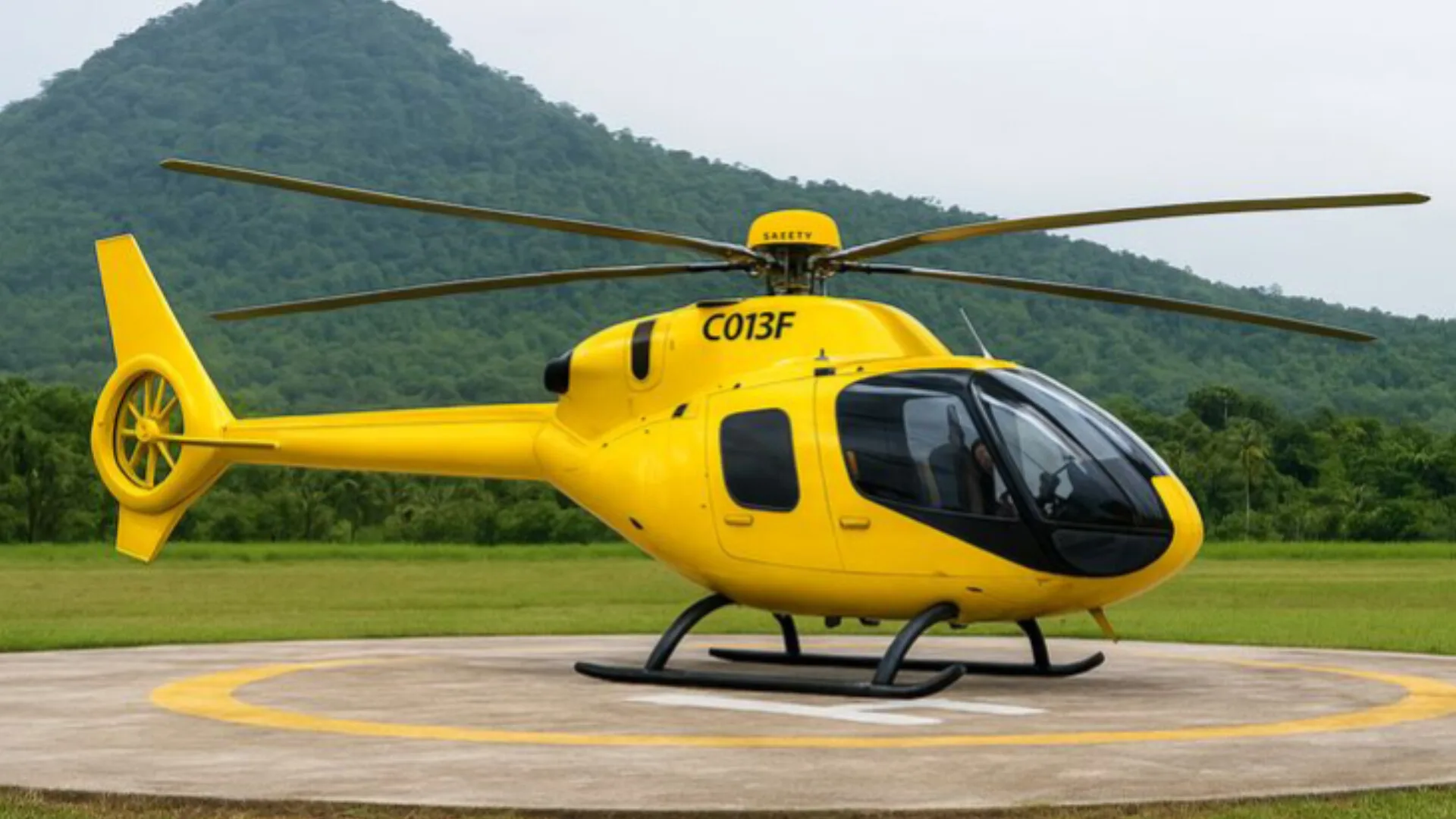 Hindustan News Point | State, National, Sports, Entertainment, Health News 39 Air