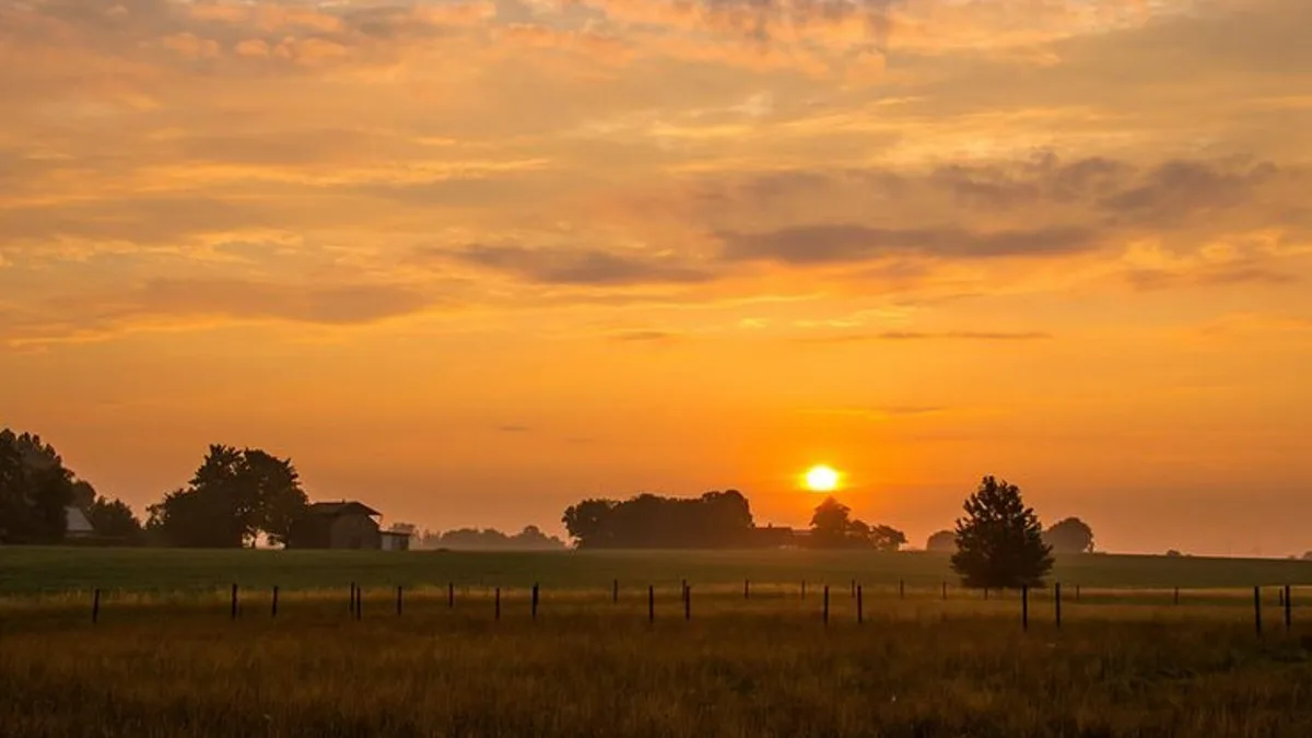 Hindustan News Point | State, National, Sports, Entertainment, Health News 8 Early summer morning