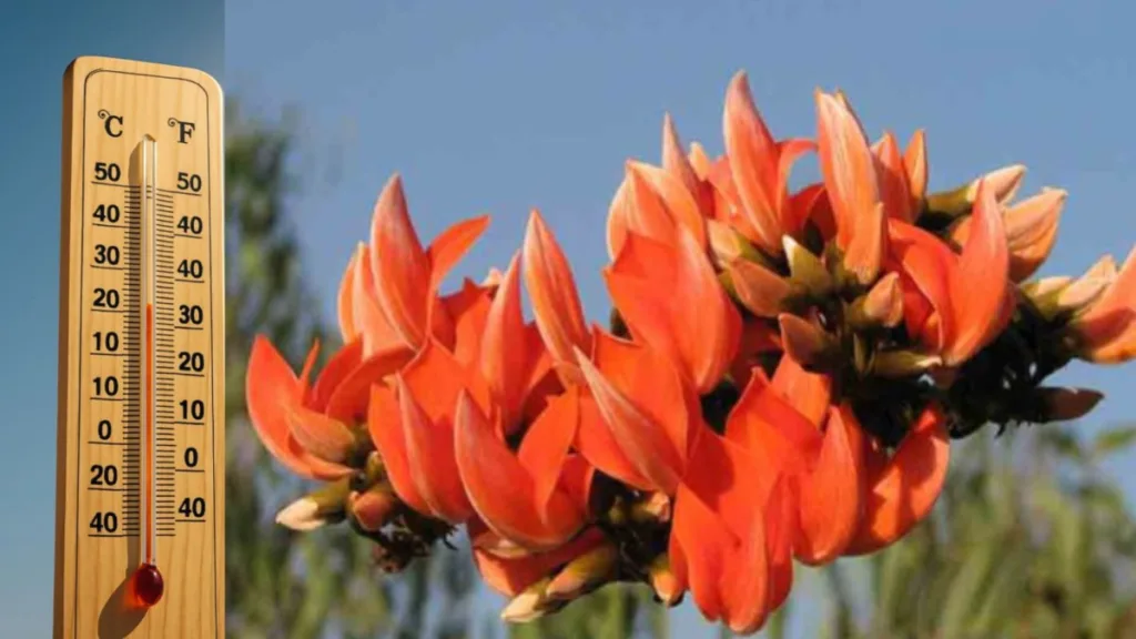 Weather: শীত বিদায়ের পথে, পারদ চড়বে দক্ষিণবঙ্গে, বসন্তের আদর্শ আবহাওয়ার পূর্বাভাস 1 Weather 3