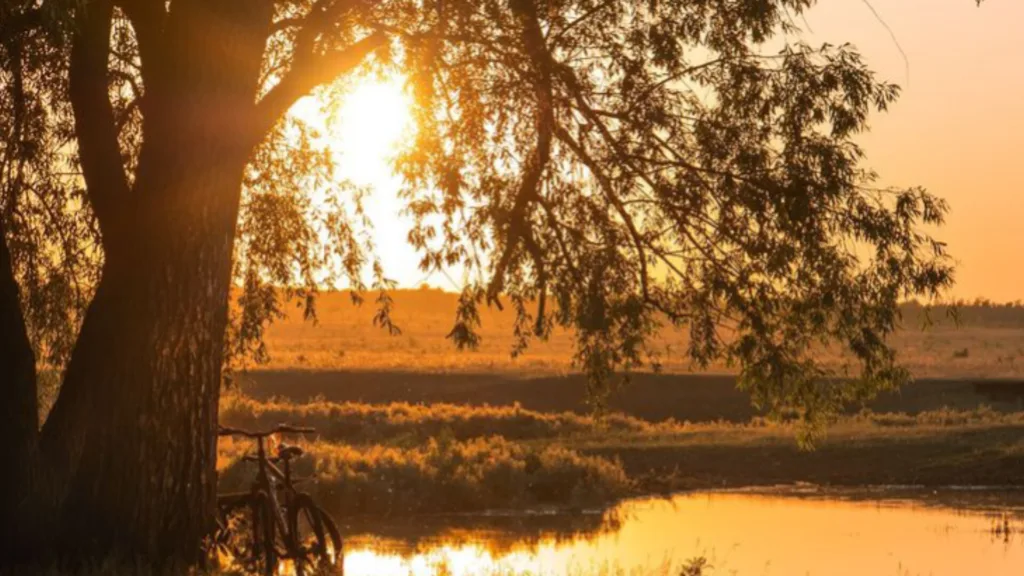 todays weather Update