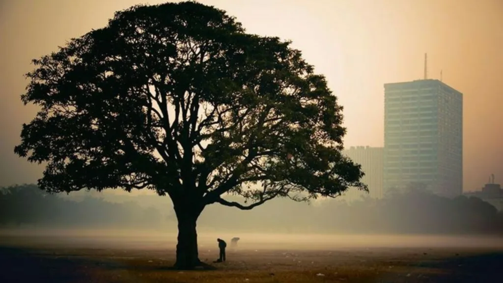 weather 2 february 2026: আবহাওয়ার খামখেয়ালিপানা, মাঘ মাসেই পারদ চড়বে! কতটা বাড়বে তাপমাত্রা? 1 weather 2 february 2026