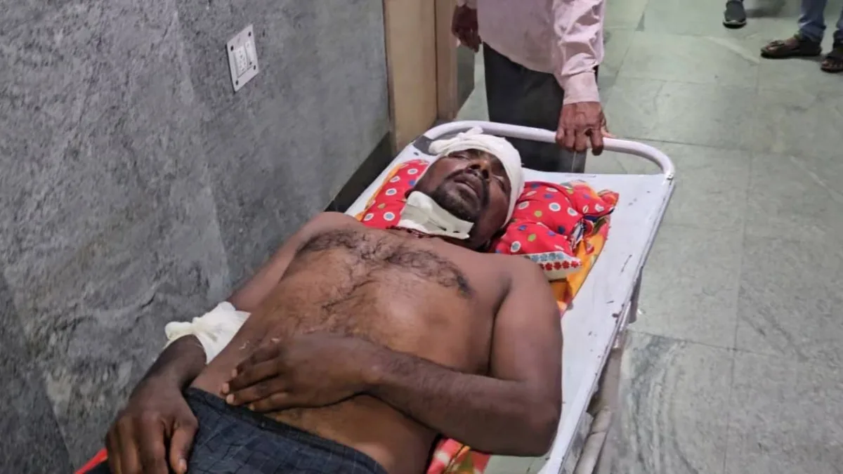 Sundarban Tiger Attack