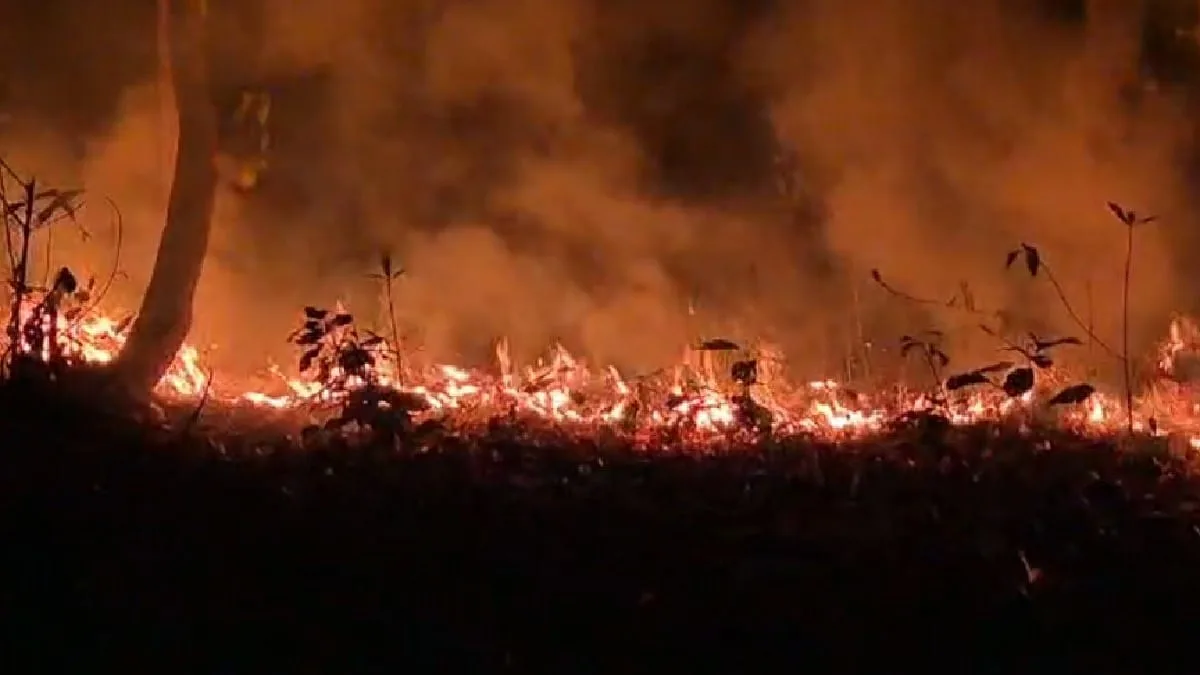 Junglemahal Fire Picture