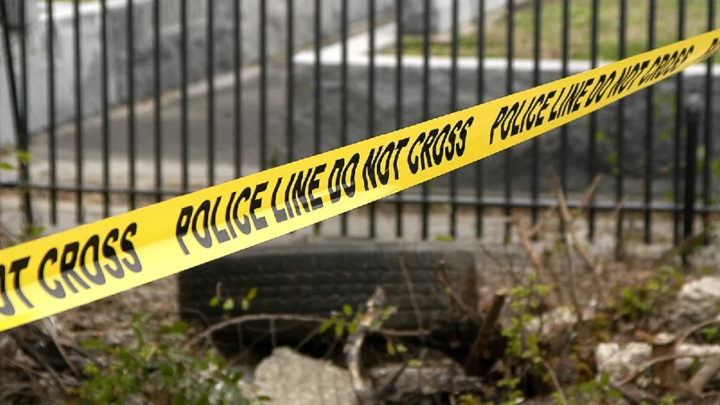Andhra Murder Case