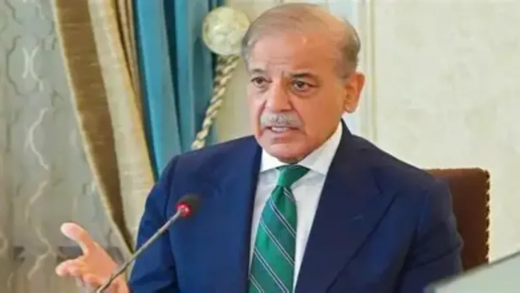 Shehbaz Sharif: 'যুদ্ধই সব শেষ করে দিল' কেন বললেন শাহবাজ শরিফ? 1 Shehbaz Sharif