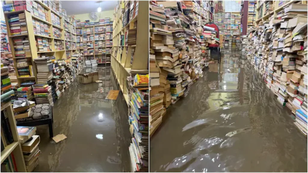 The Bookworm