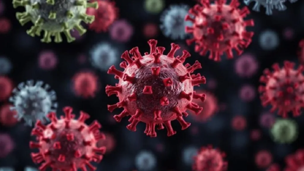 Hantavirus