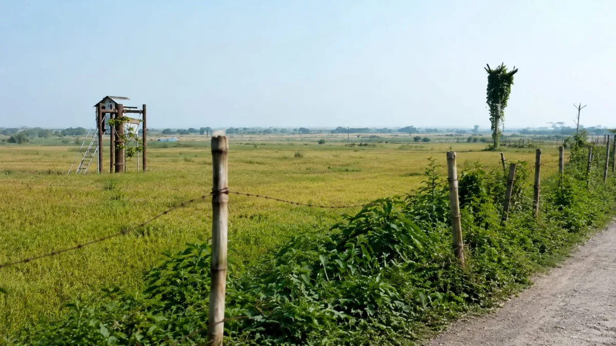 Maldah Border