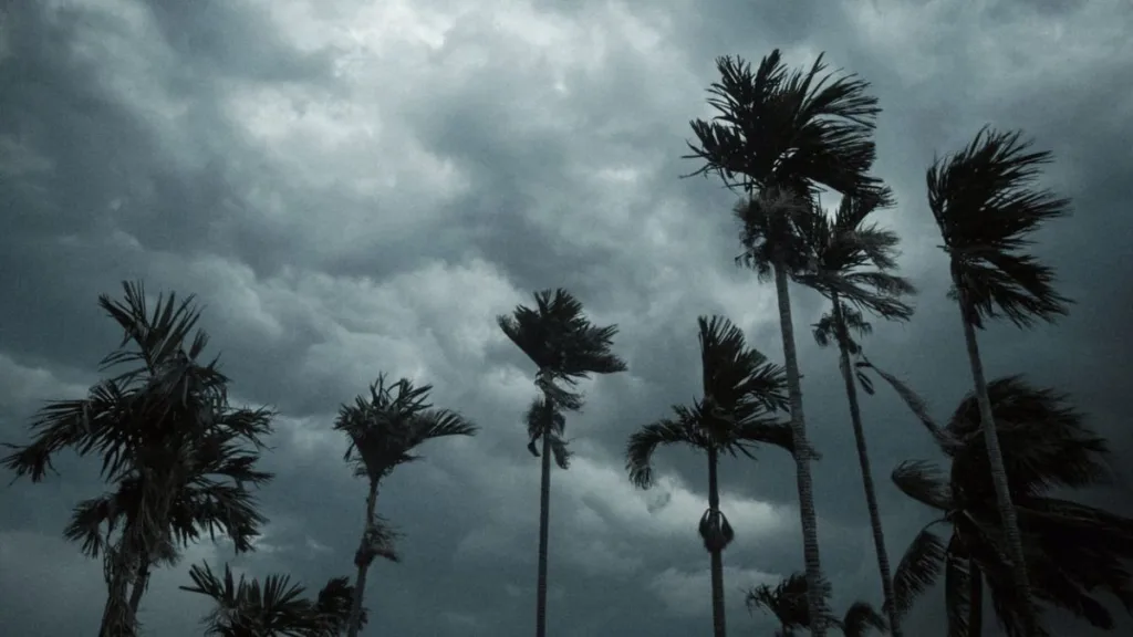 Weather Update