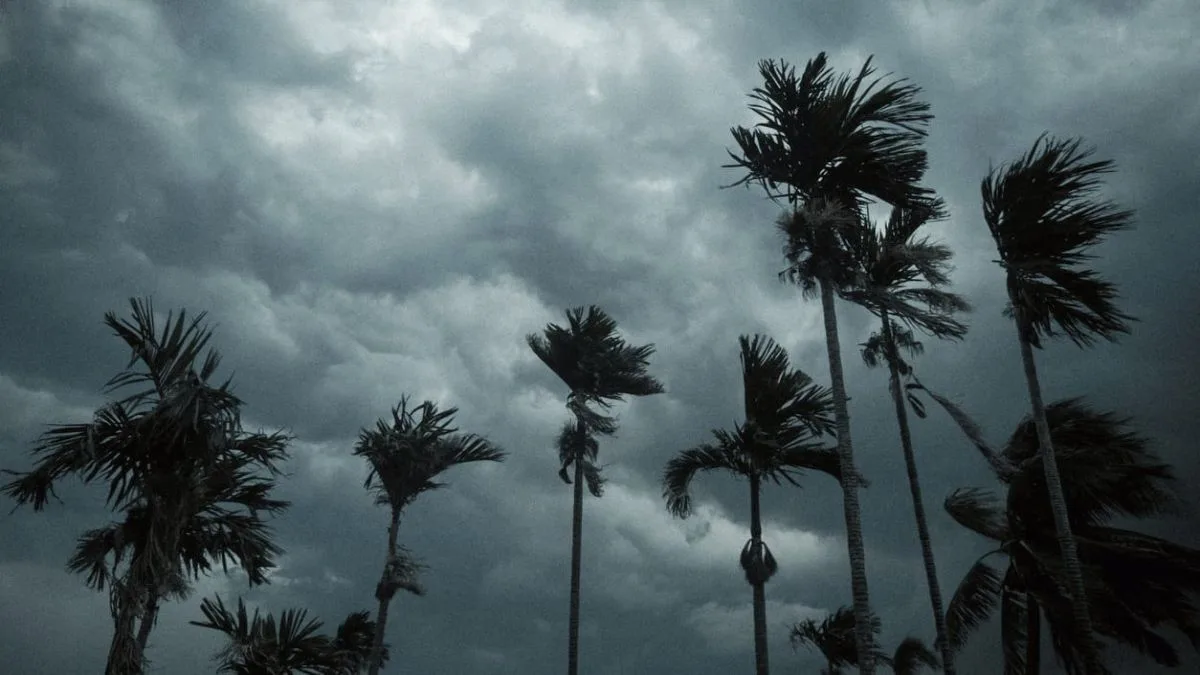 Weather Update
