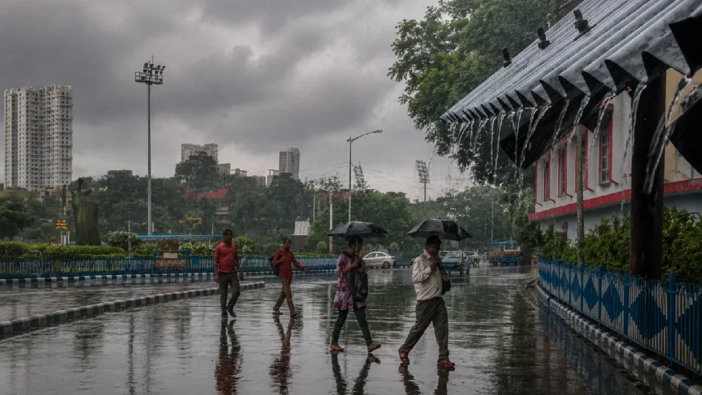 Weather Update 29