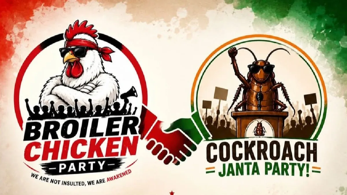 Broiler Chicken Party