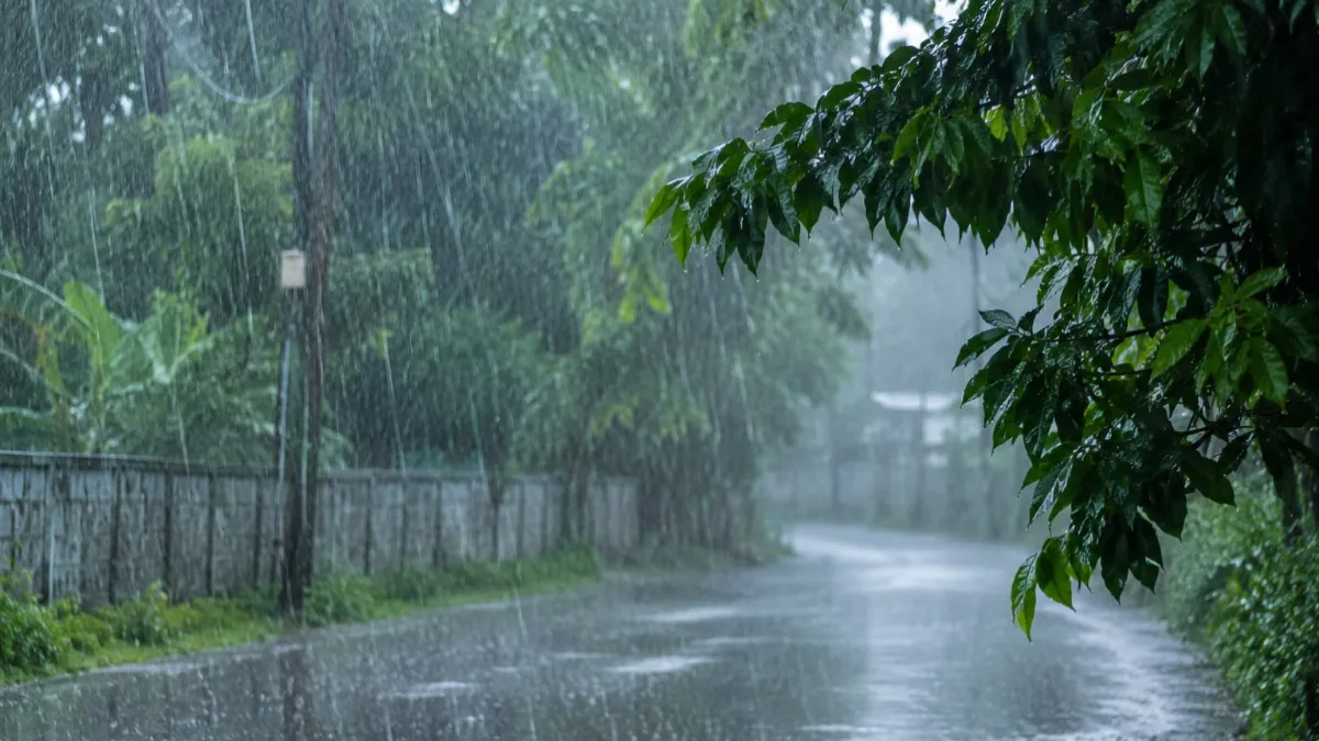 Weather Update