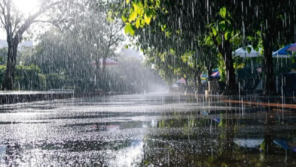 Weather Update