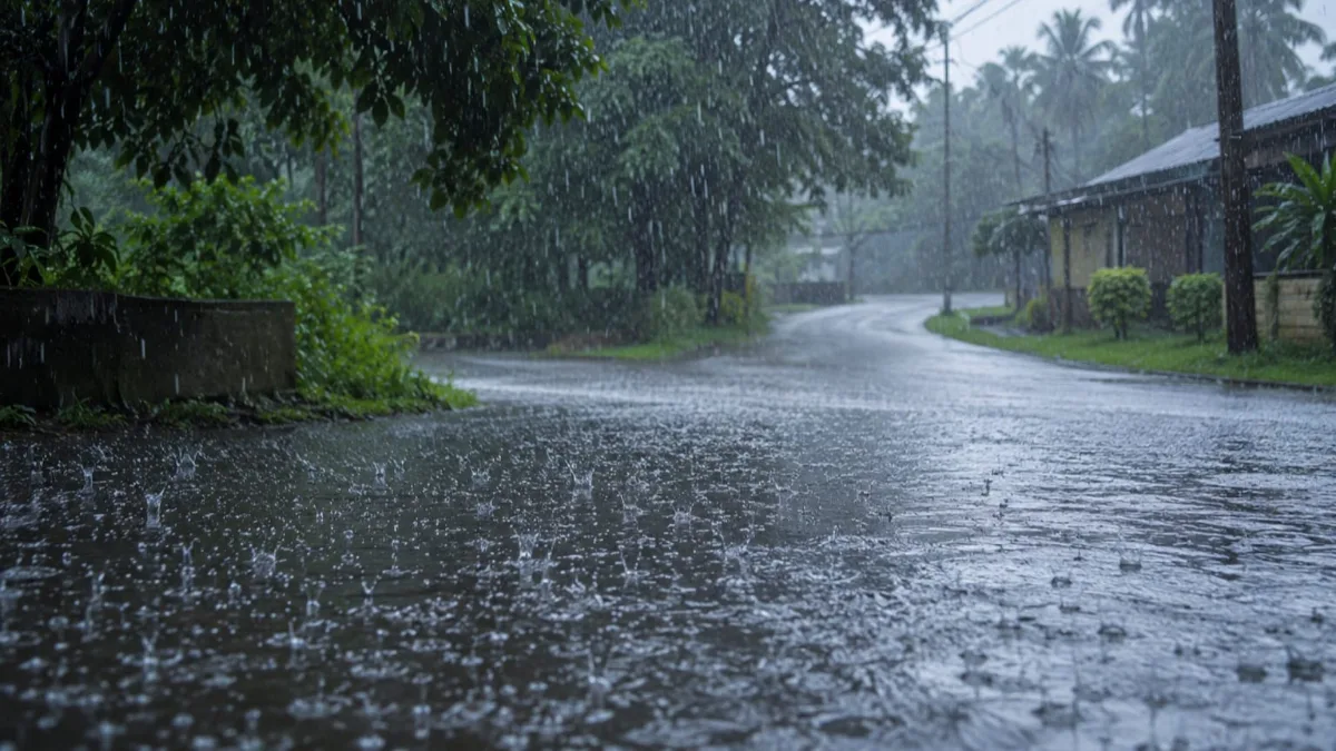 Weather Update
