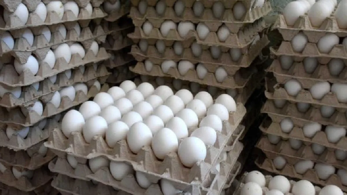 Egg Price Hike