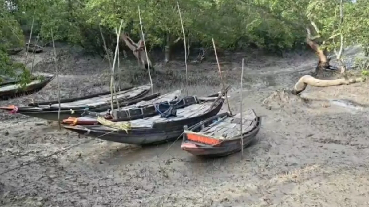 Sundarban