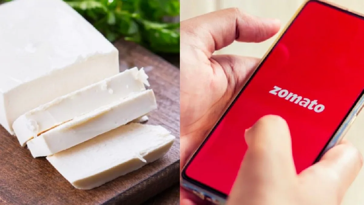 Analogue Paneer