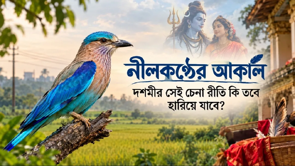Nilkantha Birds