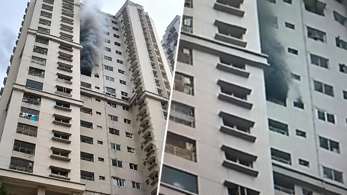 South City Complex Fire