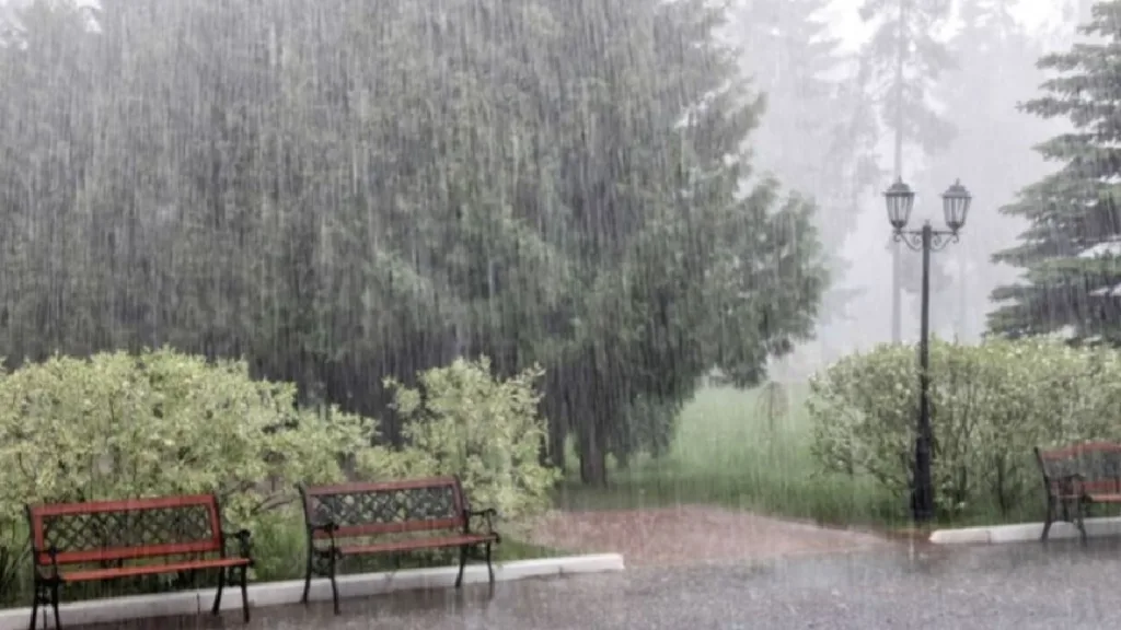 Weather Update